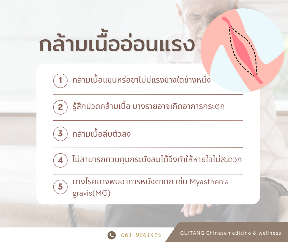 กล้ามเนื้ออ่อนแรง (Muscular Weakness)